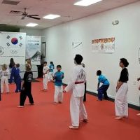 153TAEKWONDO (Martial Arts Davidson) ico