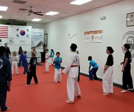 153TAEKWONDO (Martial Arts Davidson)