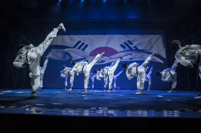 153TAEKWONDO (Martial Arts Davidson) Picture 2