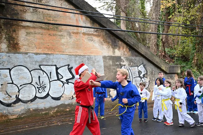 153TAEKWONDO (Martial Arts Davidson) Picture 4