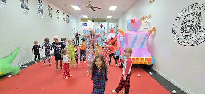 153TAEKWONDO (Martial Arts Davidson) Picture 8