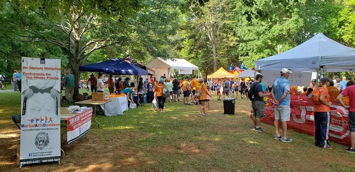 153TAEKWONDO (Martial Arts Davidson) Picture 10