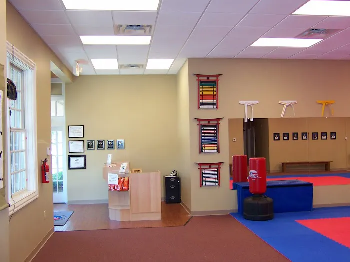 King Tiger Tae Kwon Do of Huntersville Picture 3