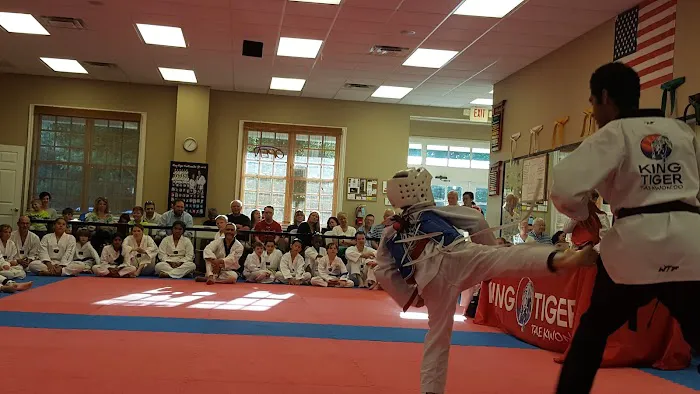 King Tiger Tae Kwon Do of Huntersville Picture 1
