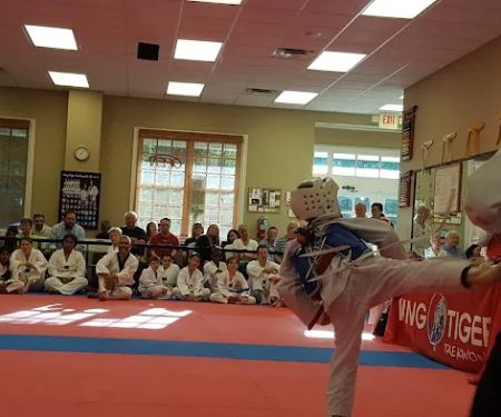 King Tiger Tae Kwon Do of Huntersville