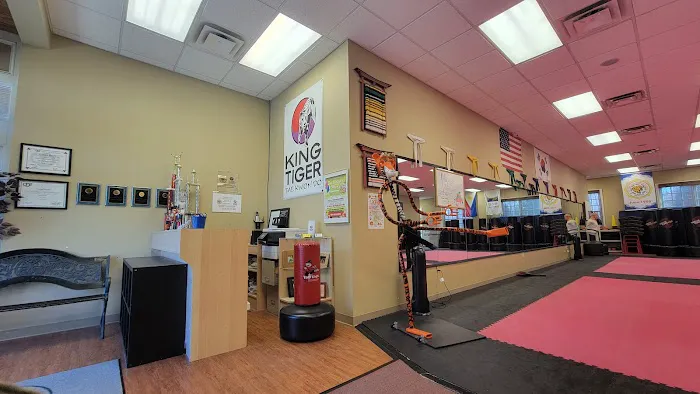 King Tiger Tae Kwon Do of Huntersville Picture 5