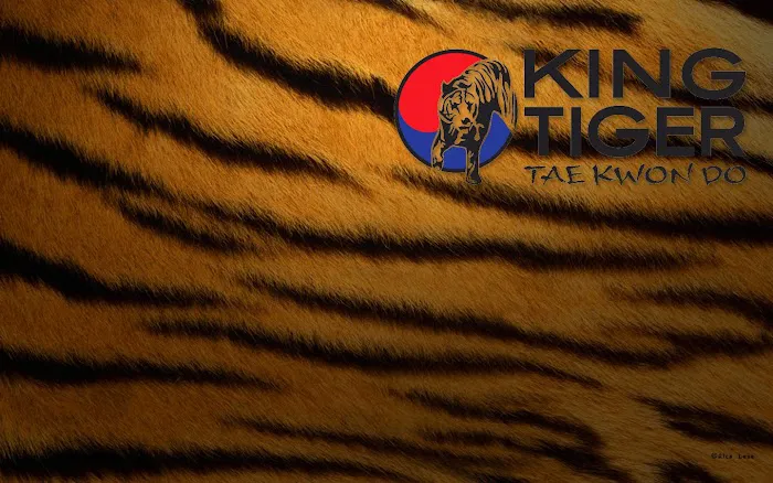 King Tiger Tae Kwon Do of Huntersville Picture 8