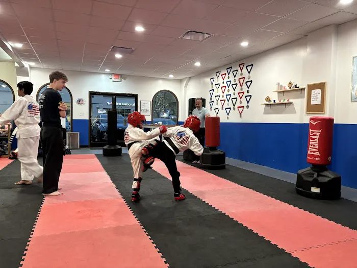 Shorey's Taekwondo America Picture 3