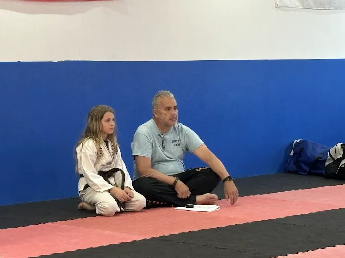 Shorey's Taekwondo America Picture 8