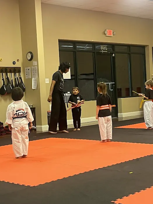 Martial Arts University Picture 4