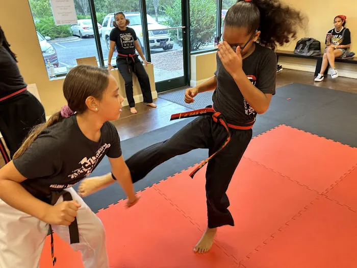 Martial Arts University Picture 6