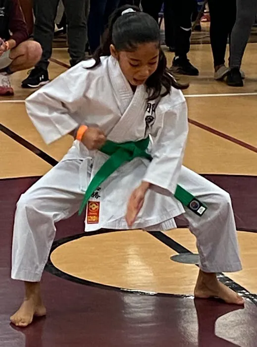 Built To Win Traditional Karate Picture 4