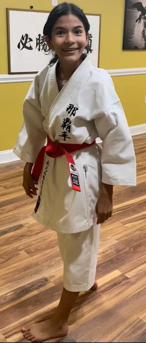 Built To Win Traditional Karate Picture 6
