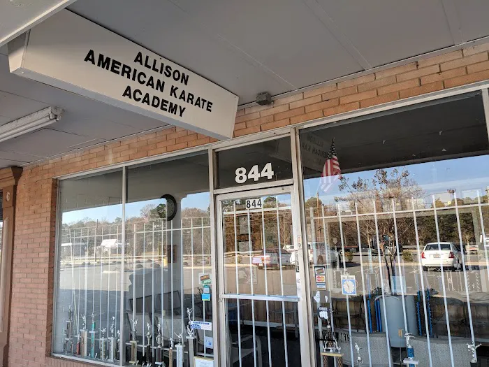Allison American Karate Academy Picture 1