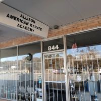 Allison American Karate Academy ico