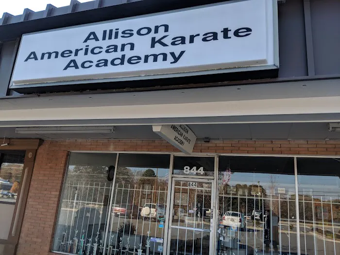 Allison American Karate Academy Picture 2