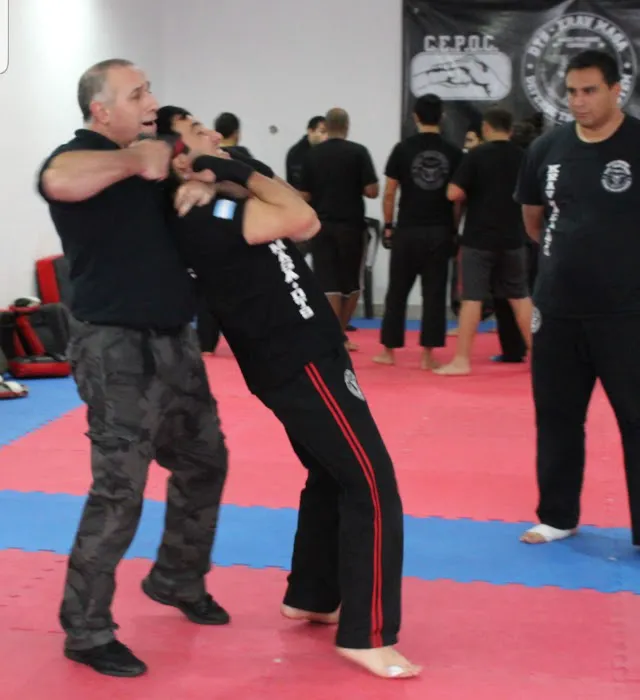 Krav Maga Harrisburg, NC Picture 4