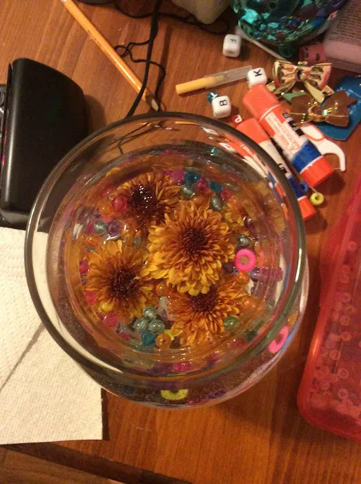 Krav Maga Harrisburg, NC Picture 6