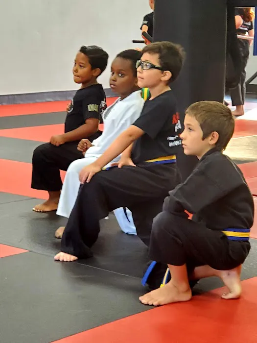 Krav Maga Harrisburg, NC Picture 9