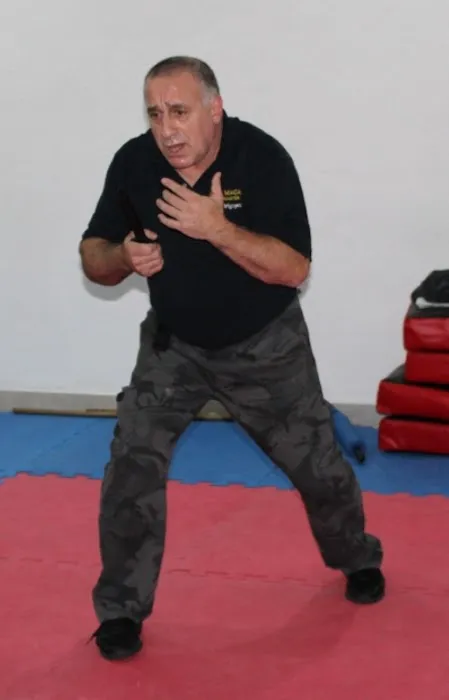 Krav Maga Harrisburg, NC Picture 10