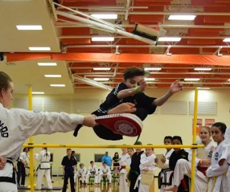 Elite Martial Arts and Gymnastics - Mint Hill