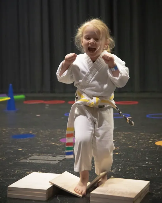 Elite Martial Arts and Gymnastics - Mint Hill Picture 5