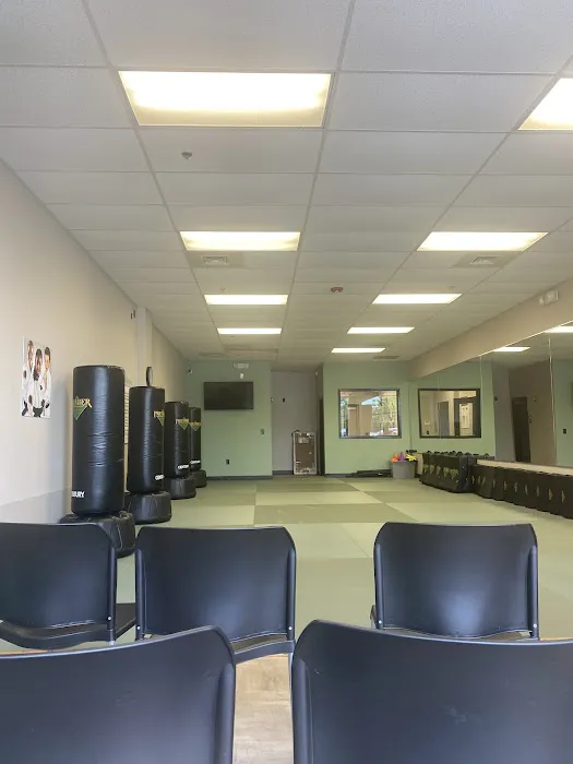 Premier Martial Arts Huntersville Picture 2