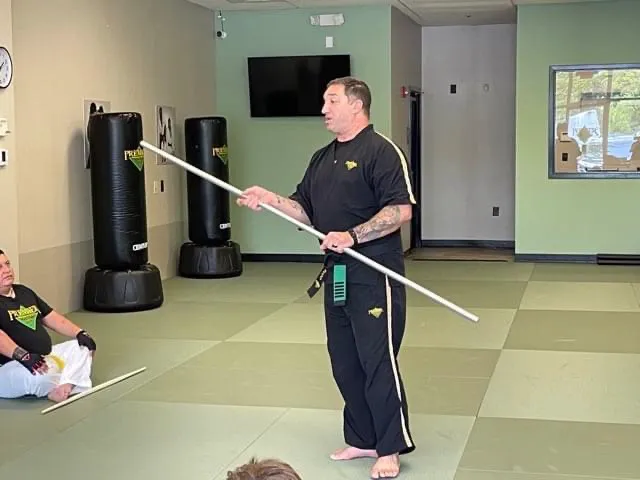 Premier Martial Arts Huntersville Picture 1