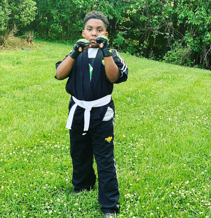 Premier Martial Arts Huntersville Picture 4