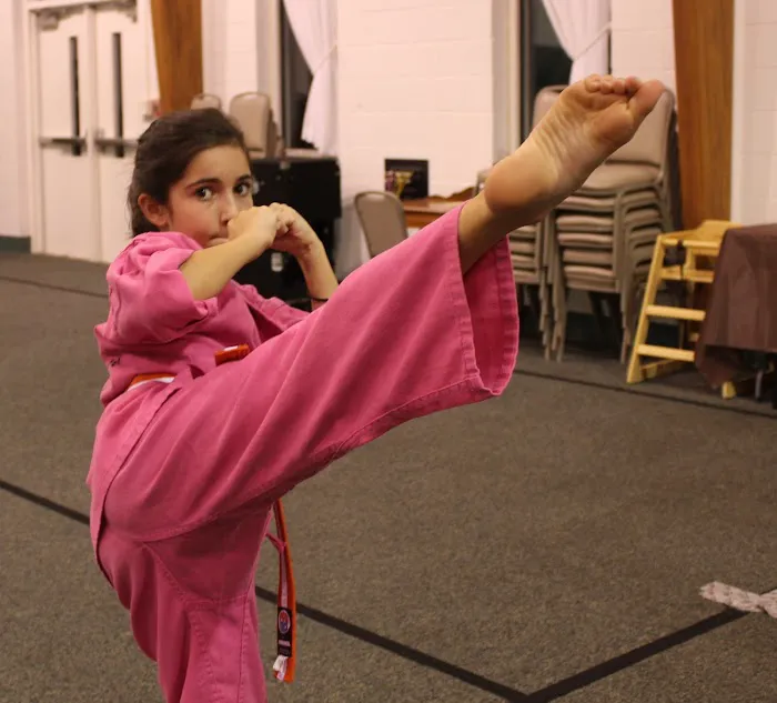 American Elite Martial Arts Picture 2