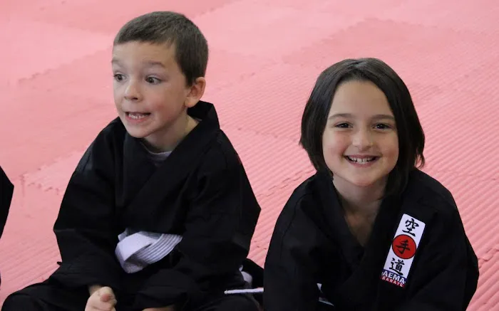 American Elite Martial Arts Picture 4