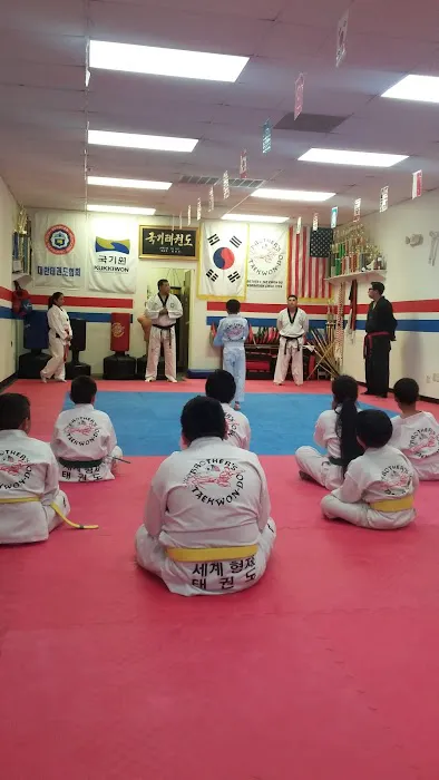 Brother's Taekwondo Picture 3