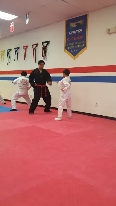 Brother's Taekwondo Picture 5