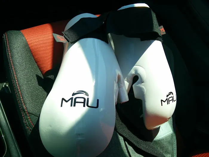 Martial Arts University Picture 4