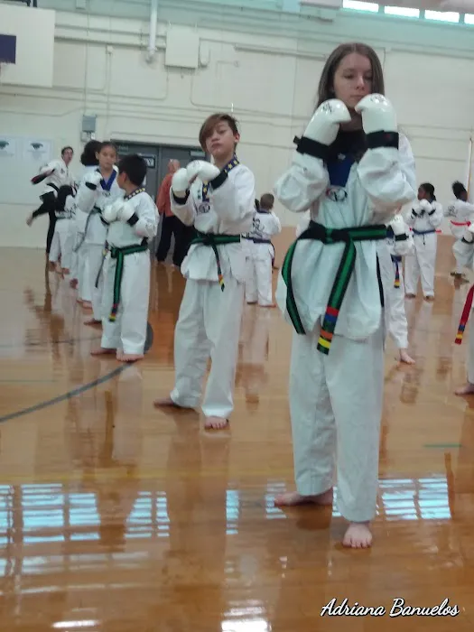 Martial Arts University Picture 8