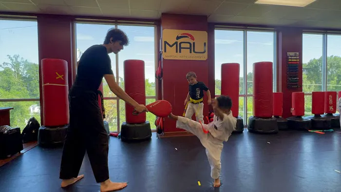 Martial Arts University Picture 7