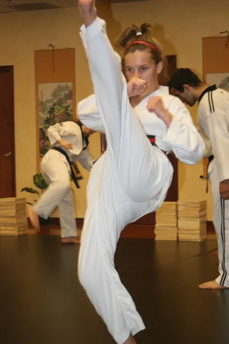 Martial Arts University Picture 10