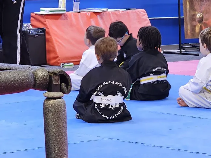 Charlotte Martial Arts Academy Picture 1