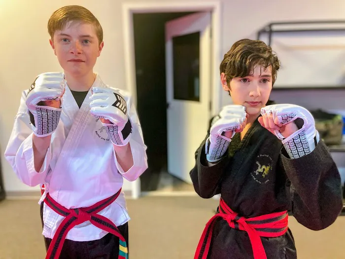 Charlotte Martial Arts Academy Picture 10