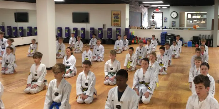 King Tiger Tae Kwon Do of South Charlotte Picture 2