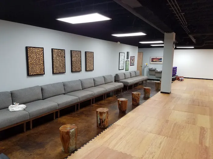 King Tiger Tae Kwon Do of South Charlotte Picture 6