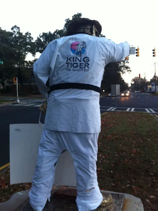 King Tiger Tae Kwon Do of South Charlotte Picture 9