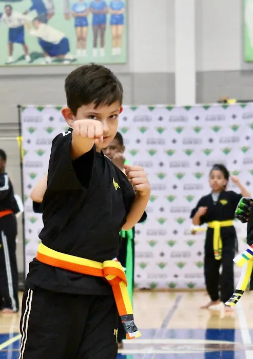 Premier Martial Arts SouthPark Picture 7