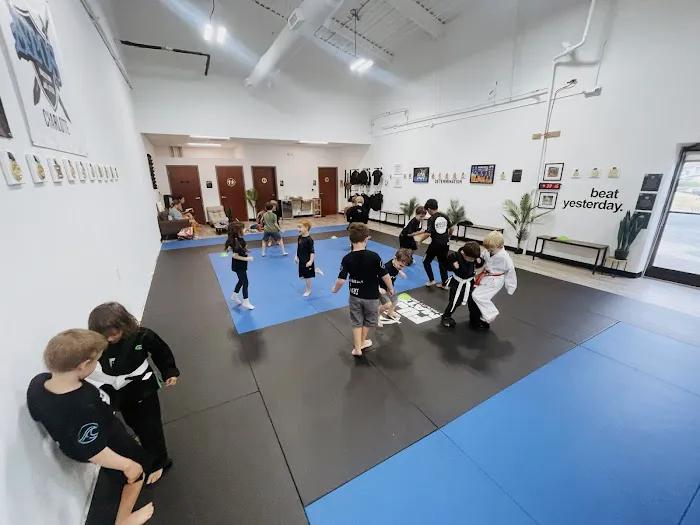 Mindset BJJ Academy (Marlon Loor Vera) Picture 1