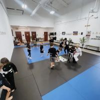 Mindset BJJ Academy (Marlon Loor Vera) ico