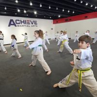 Matthews Achieve Martial Arts ico