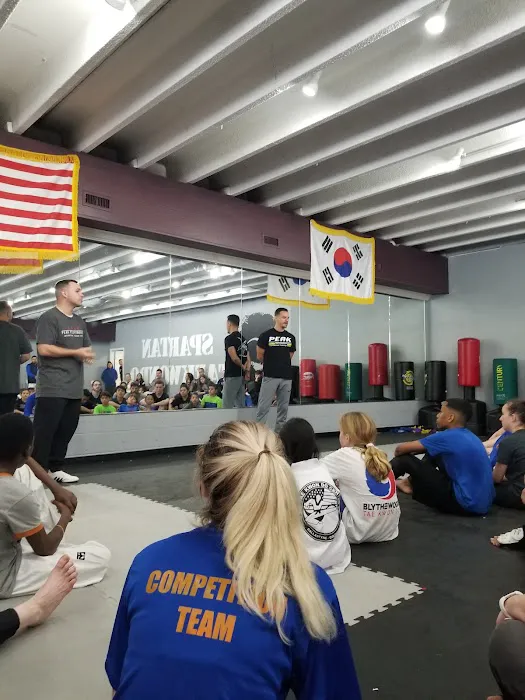 Matthews Achieve Martial Arts Picture 5