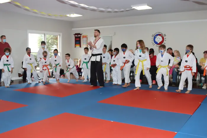 Matthews Tae Kwon Do Picture 1