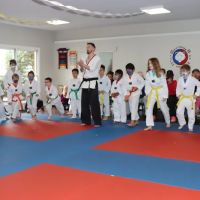 Matthews Tae Kwon Do ico