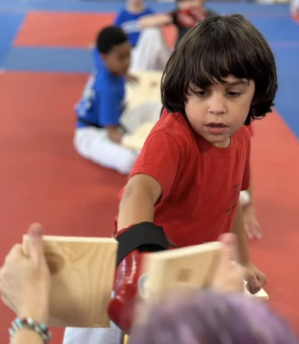 Matthews Tae Kwon Do Picture 8